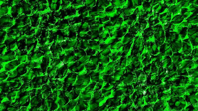 无标题视图：深色球状凝聚物-绿色（回路）