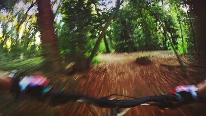 山地自行车在行动：森林中的PoV快速骑行
