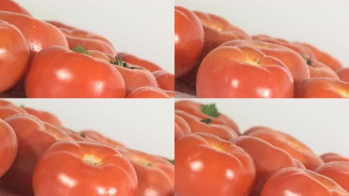 西红柿西红柿
