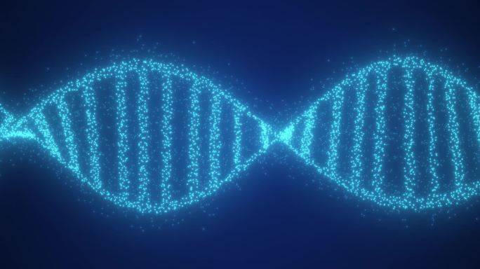粒子DNA基因链循环