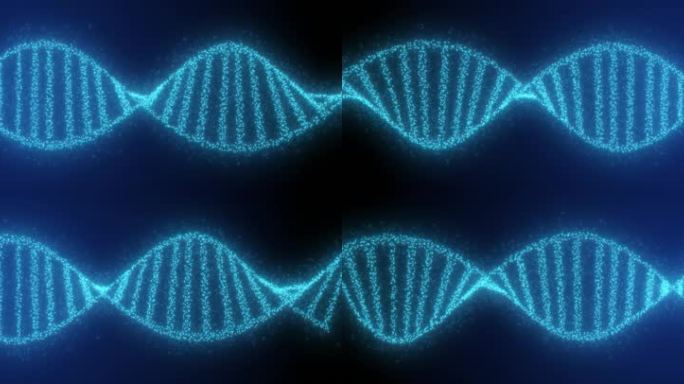 粒子DNA基因链循环