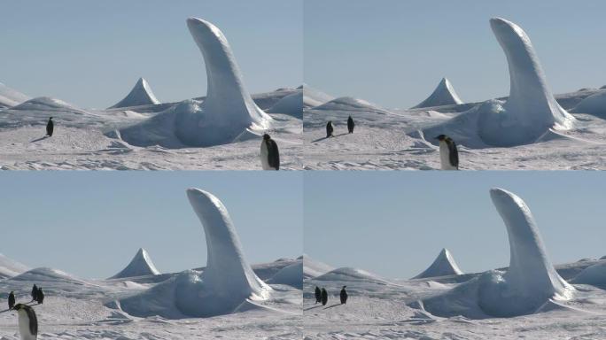 企鹅走过奇异的冰景