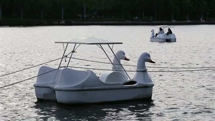 漂浮在公园中央池塘上的天鹅形脚踏船