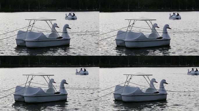 漂浮在公园中央池塘上的天鹅形脚踏船