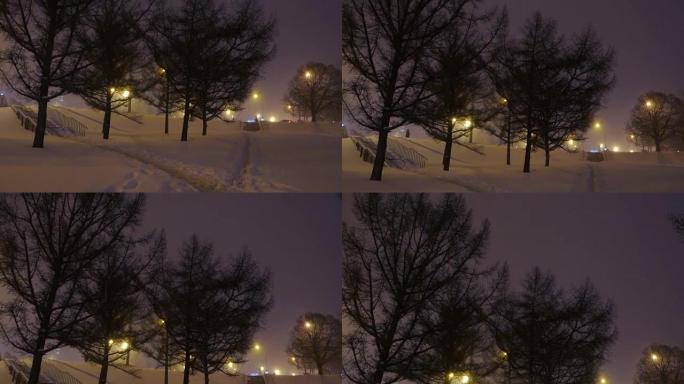 夜间城市降雪夜间城市降雪