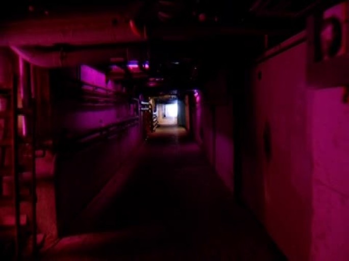 紫色隧道