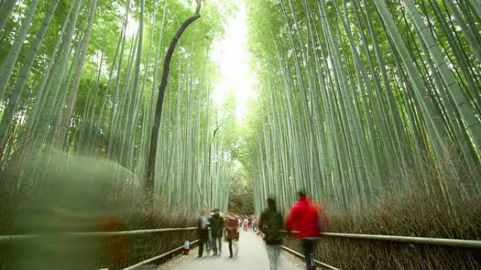 日本竹林日本竹林人流