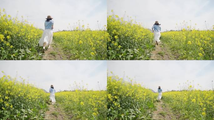 白裙美女田间奔跑背影追逐梦想春游踏青唯美