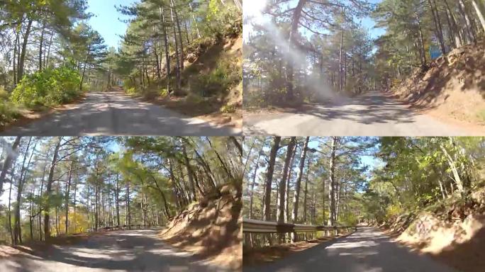 穿过林地的蜿蜒道路，GoPro