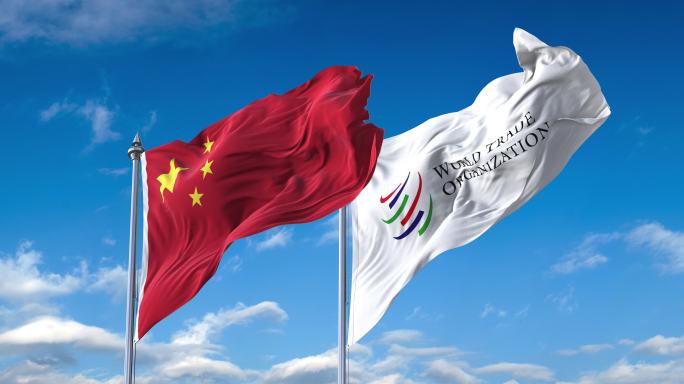 中国-世界贸易组织旗帜