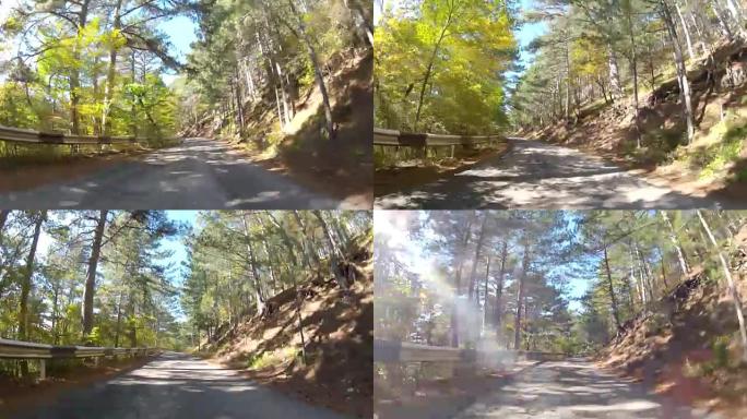 GoPro秋天穿过森林的高速公路