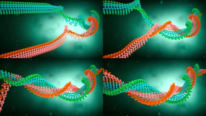 DNA链DNA链