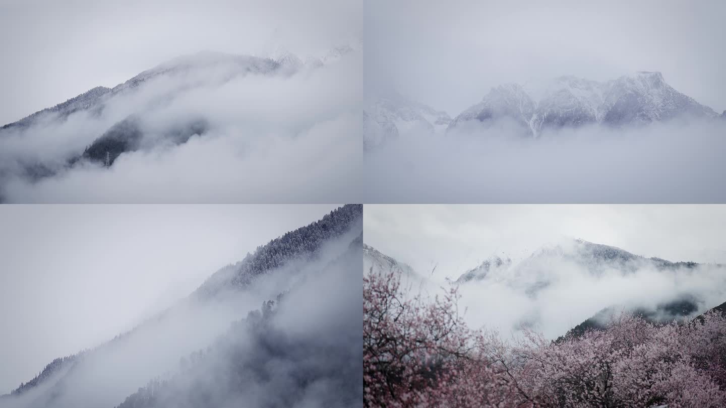 4k云雾缭绕清明谷雨林芝桃花盛开水墨山水