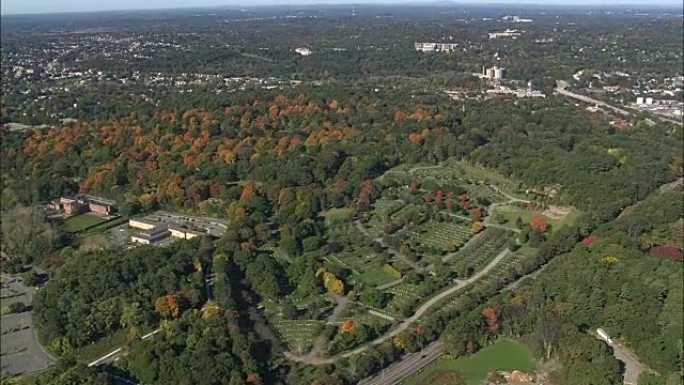 森林山公墓-鸟瞰图-马萨诸塞州，萨福克县，美国