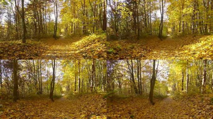 秋季人行道小巷多莉拍摄