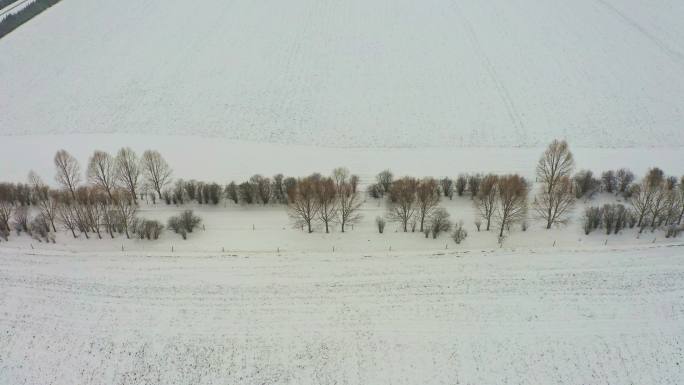 4k下雪后的乡村道路