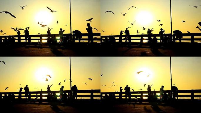 日落时港口上的人和海鸥的影子