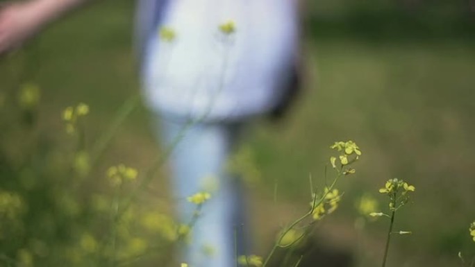 牵手鲜花