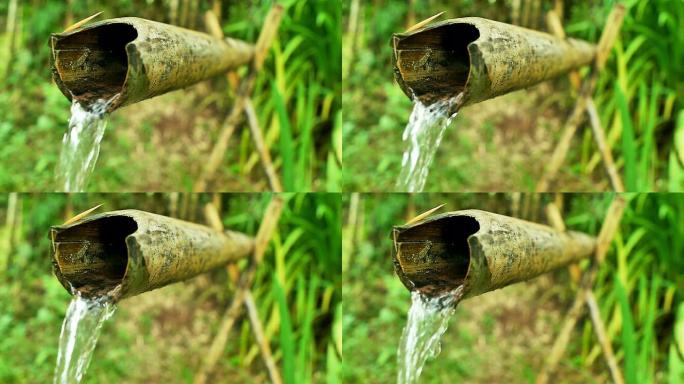竹水特征生态水域流动水