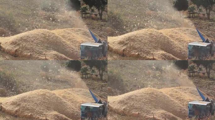 农田上的玉米收获