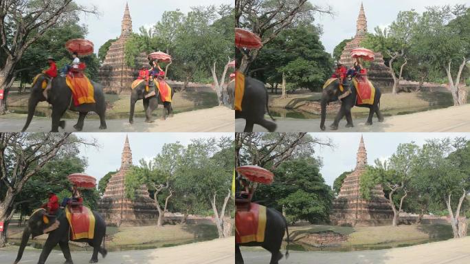 旅游团骑在大象的背上