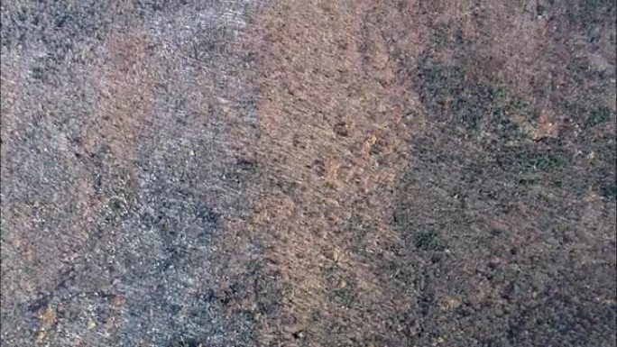 俯视磨砂森林景观的航班-鸟瞰图-佛蒙特州，温德姆县，美国
