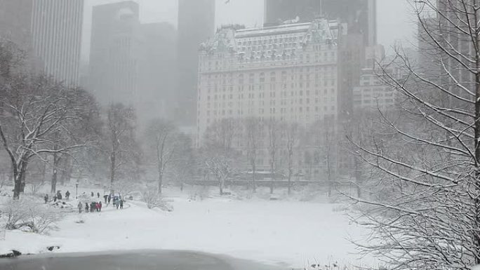 纽约市中央公园的冬雪