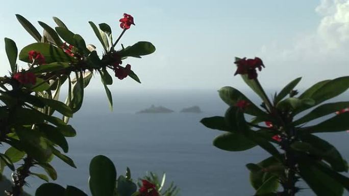 圣巴特热带花木之间的海景