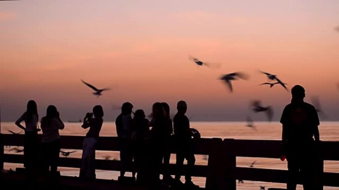 剪影: 日落时的人和海鸥群