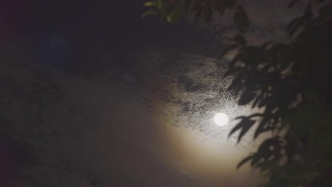 满月之夜万圣节月亮