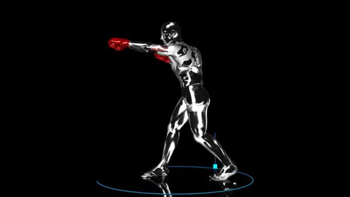 3D拳击手与技术数据