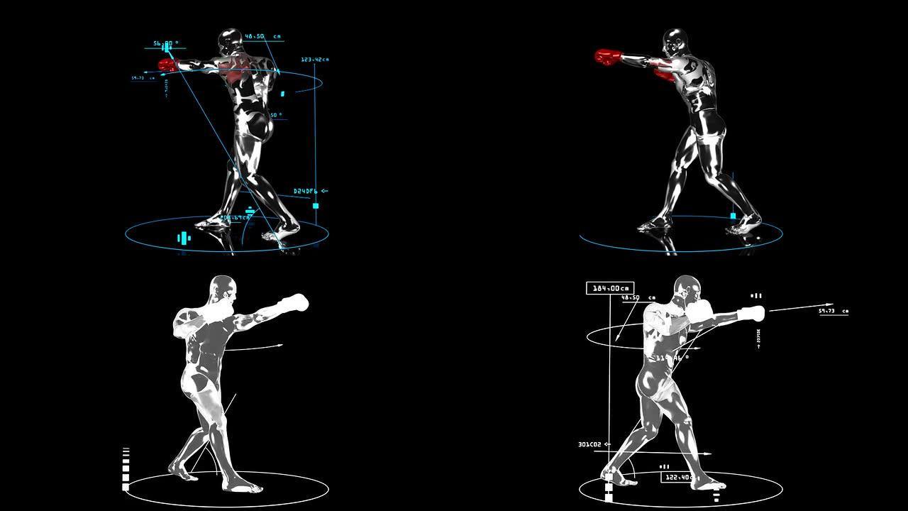 3D拳击手与技术数据
