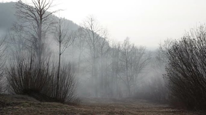 高清：Glade上空的雾