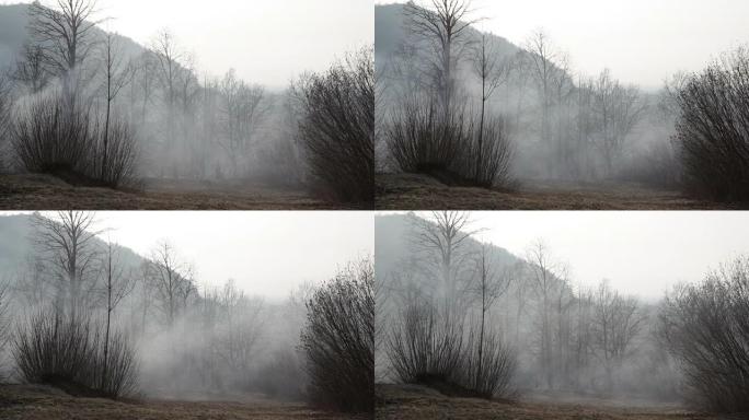 高清：Glade上空的雾