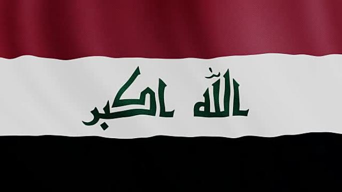 4-K视频: 伊拉克挥舞旗帜