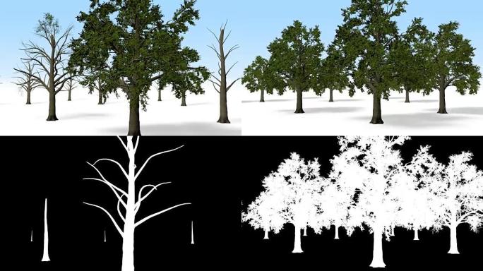 哑光松树科技松树通道素材三维动画全息树生