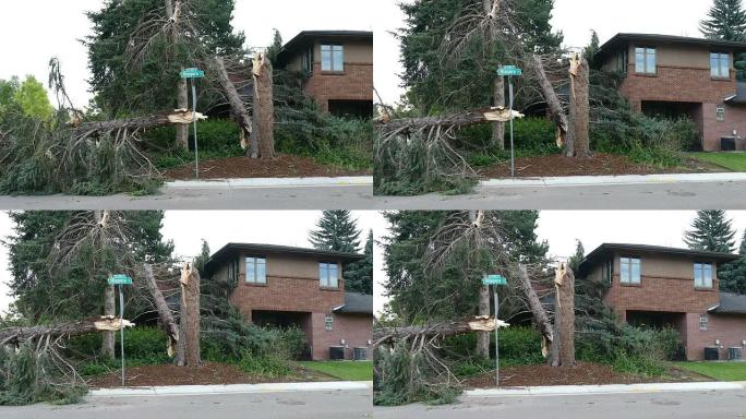 高清视频丹佛科罗拉多州暴风狂风倾倒树木