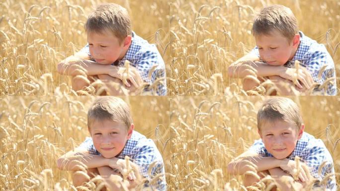 小麦耳朵里的有趣男孩