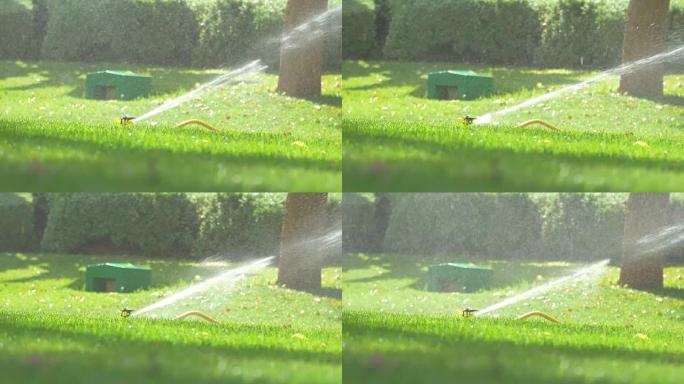 4k洒水器视频草地草坪喷淋系统自动化装置