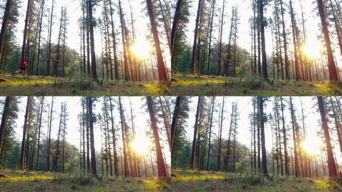 适合在森林里跑步的男性