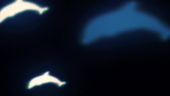 海豚的形状飞向屏幕。