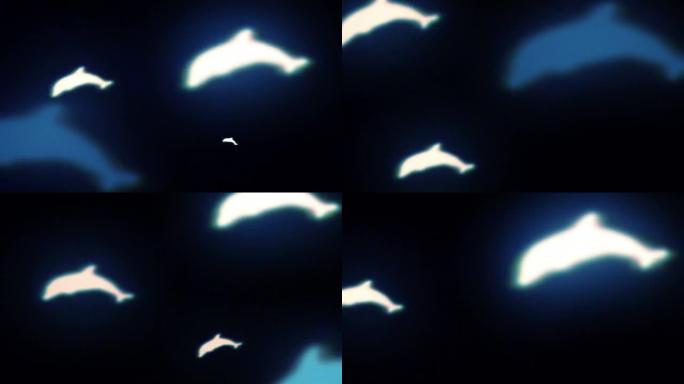 海豚的形状飞向屏幕。