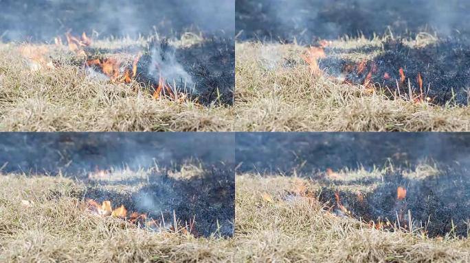 田野里的草在燃烧。纵火后火势蔓延。