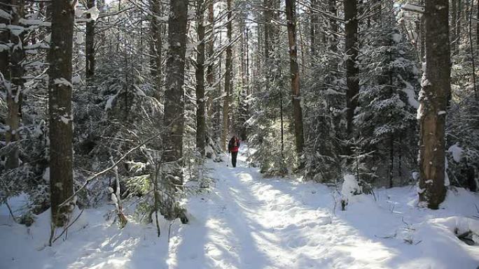 冬天背着背包的男人在森林里徒步旅行