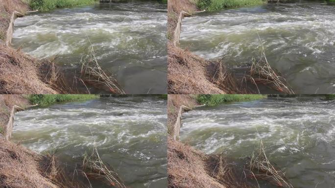 迅速浇水。河流