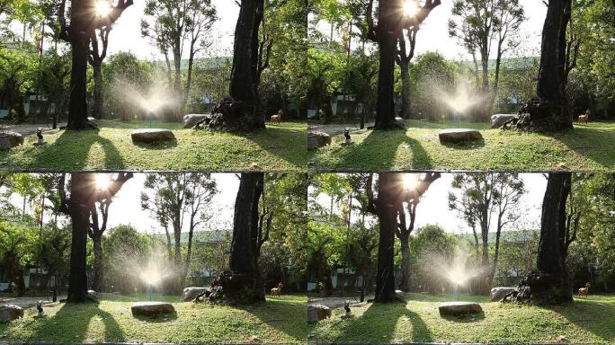 花园灌溉洒水车的多莉镜头
