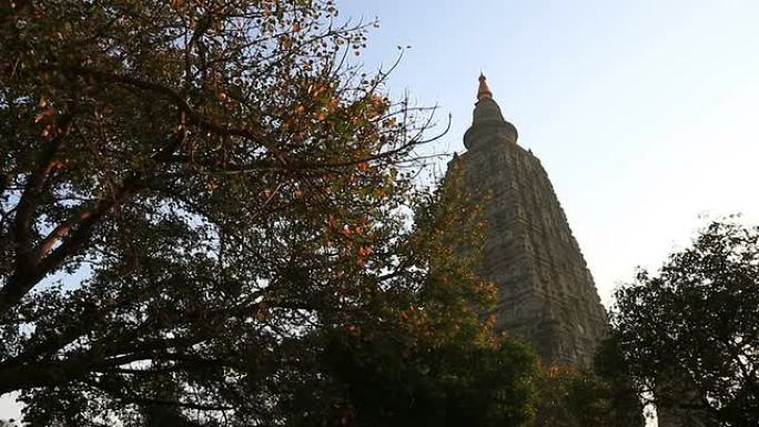 印度，摩诃菩提寺印度，摩诃菩提寺