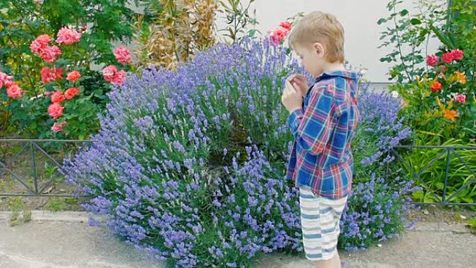 男孩从开花植物的花粉中打喷嚏