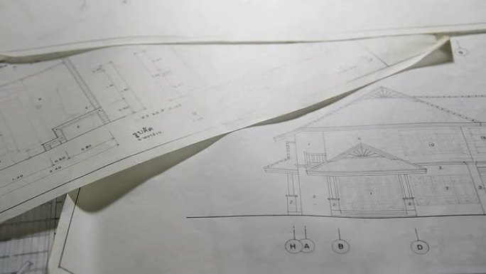 多莉: 蓝图工作