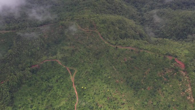 大山深处 云雾缭绕 未调色 原始4K